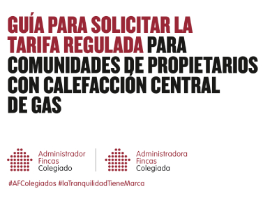 Captura de Pantalla 2022 11 04 a las 8.50.00 (4)